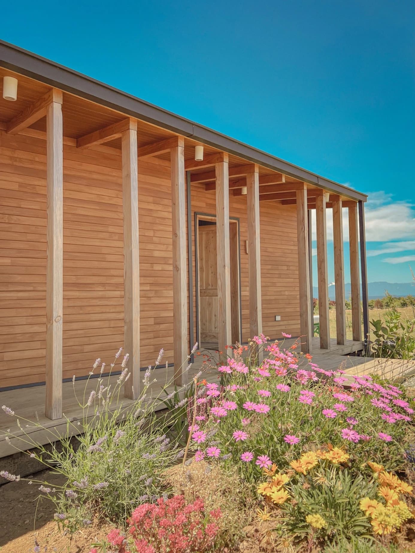 Ave Lodge - imagen 5 de 16