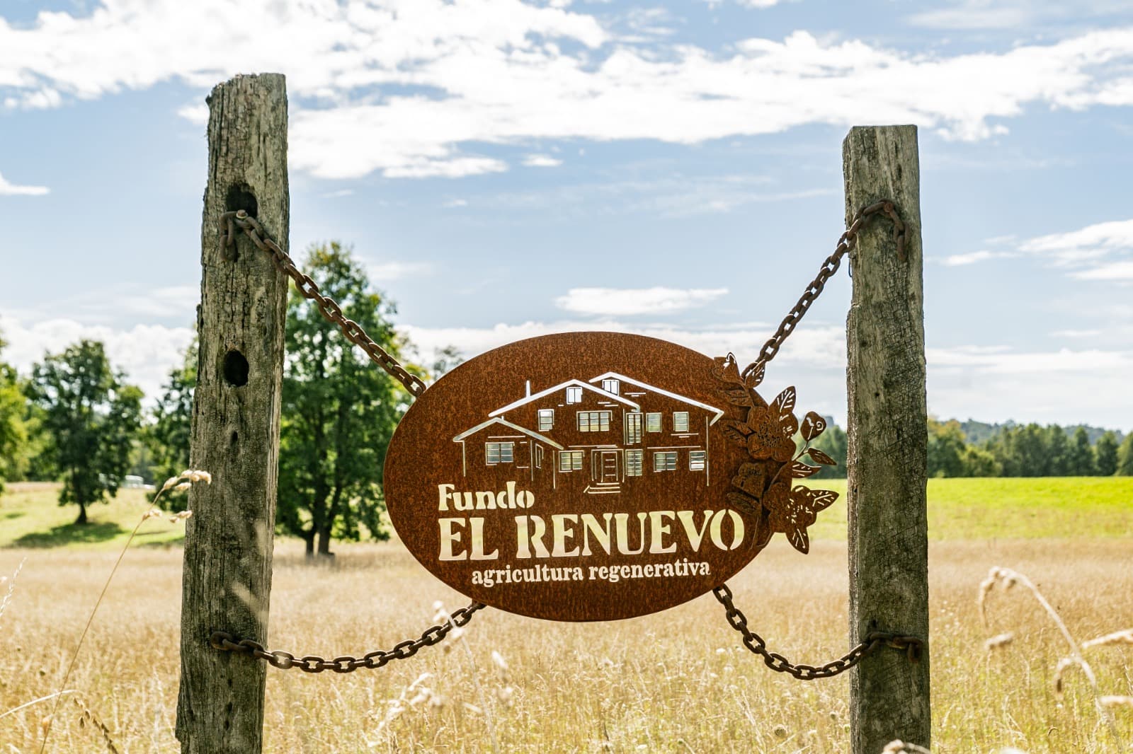 Visita Fundo Regenerativo - imagen 1 de 7