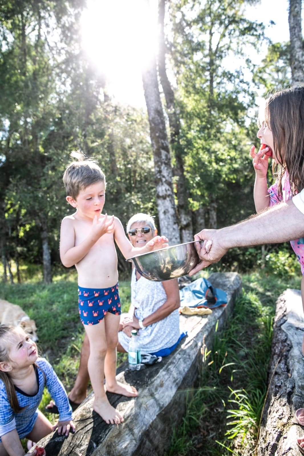 Visita Fundo Regenerativo - imagen 4 de 7