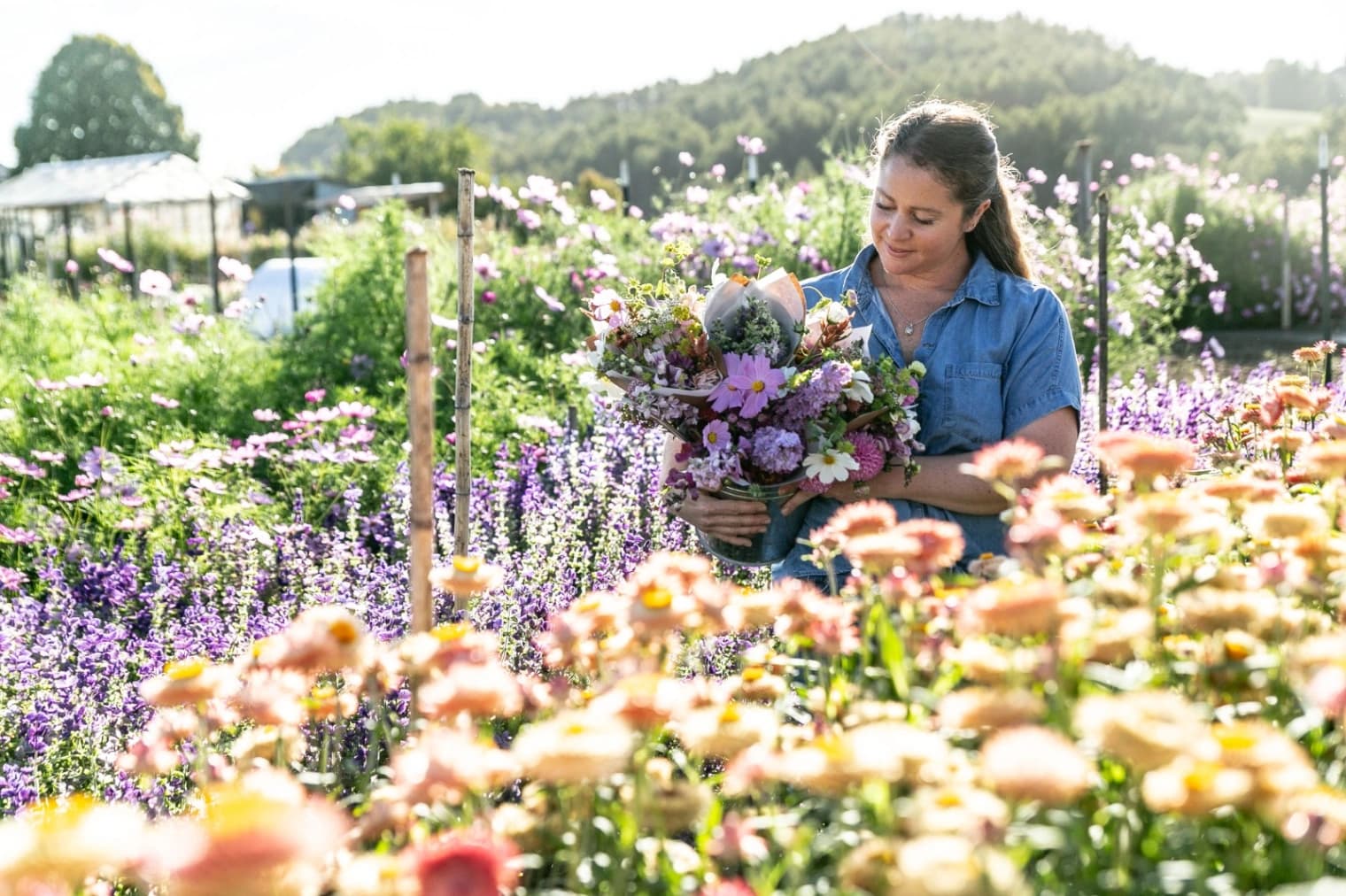Visita Fundo Regenerativo - imagen 7 de 7