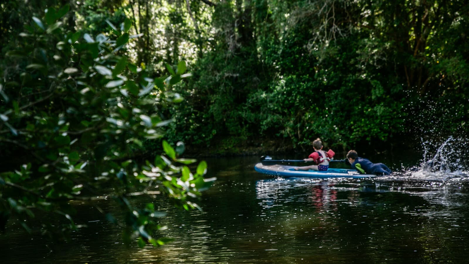 Visita Fundo Regenerativo - imagen 2 de 7