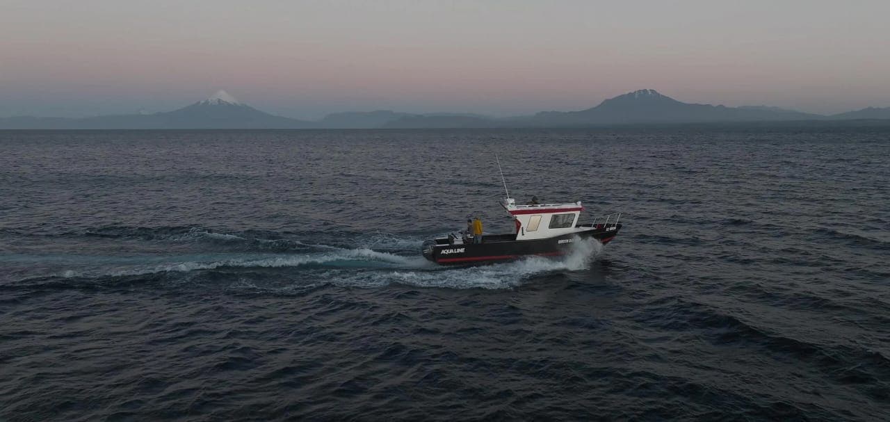 Pesca en Lago Llanquihue (medio día) - imagen 3 de 4