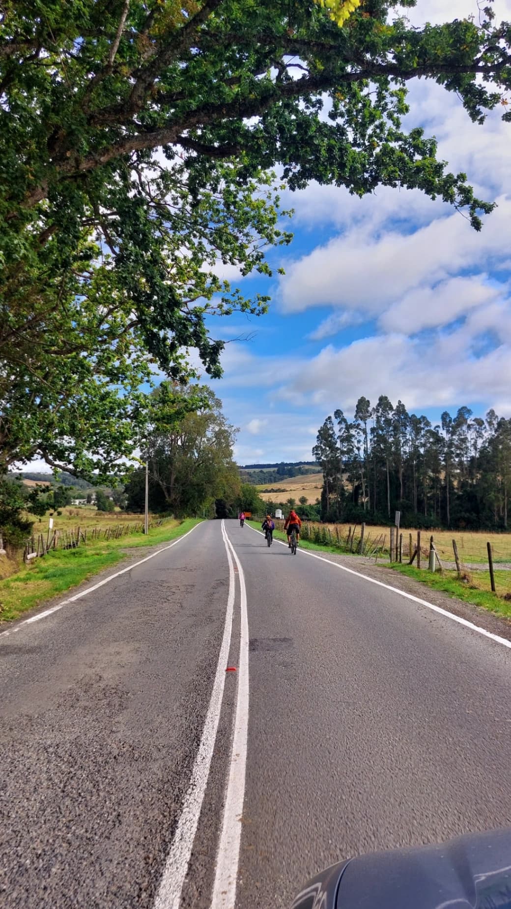 Tour en Bicicleta Frutillar - Llanquihue (medio día) - imagen 3 de 5