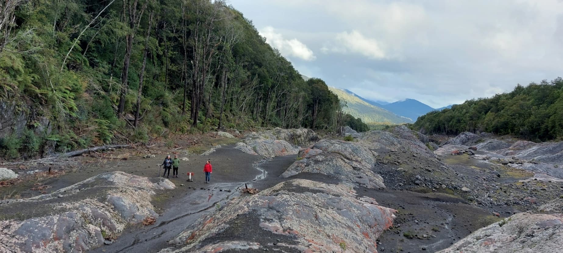 Trekking Reserva Nacional Llanquihue & Lago Chapo (Full Day) - imagen 4 de 5