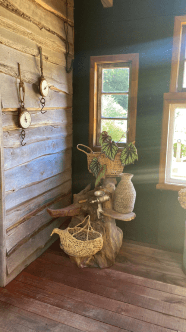 Se Cocina Frutillar - imagen 17 de 17