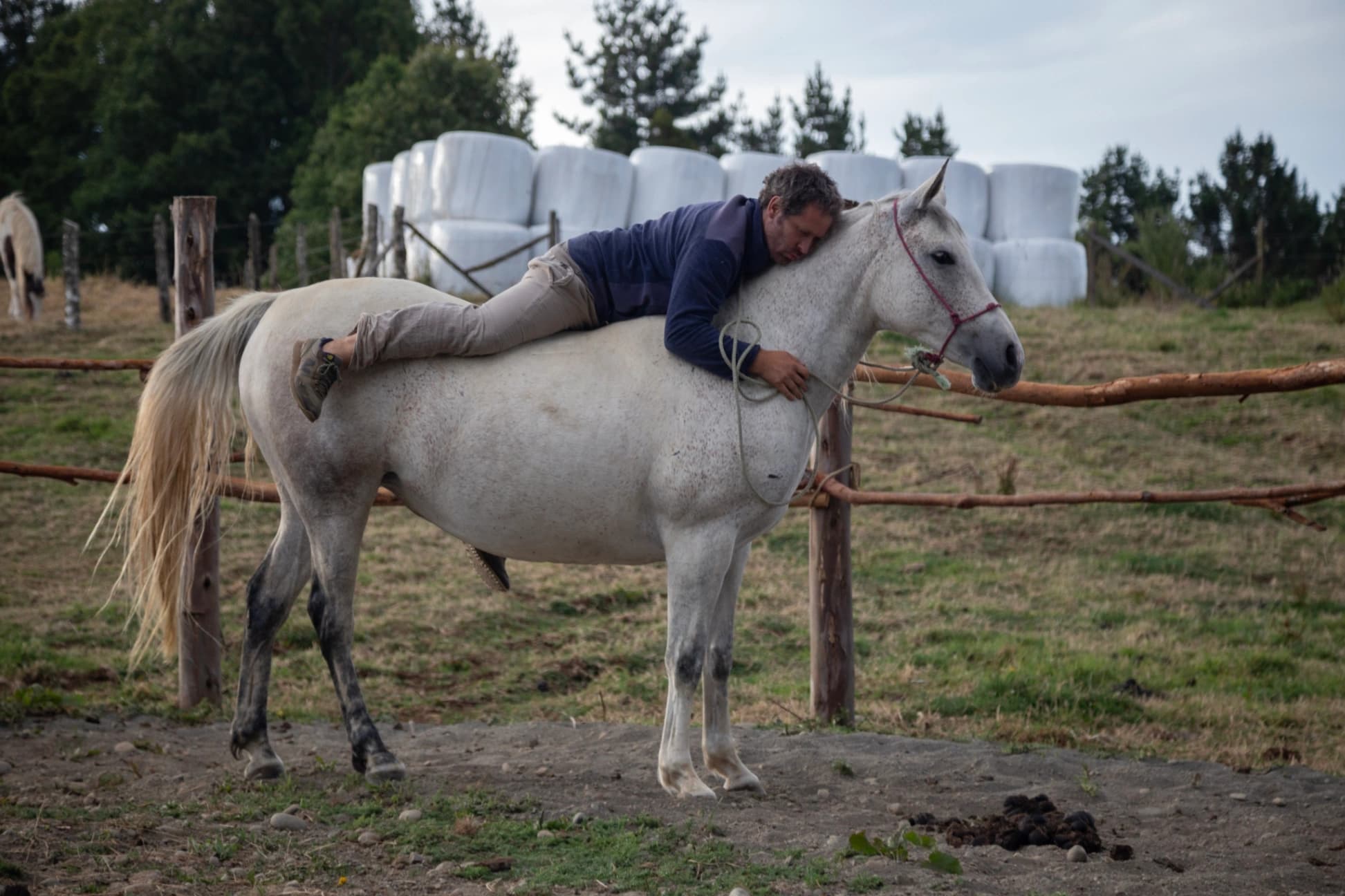 Experiencias con Caballos - imagen 3 de 4