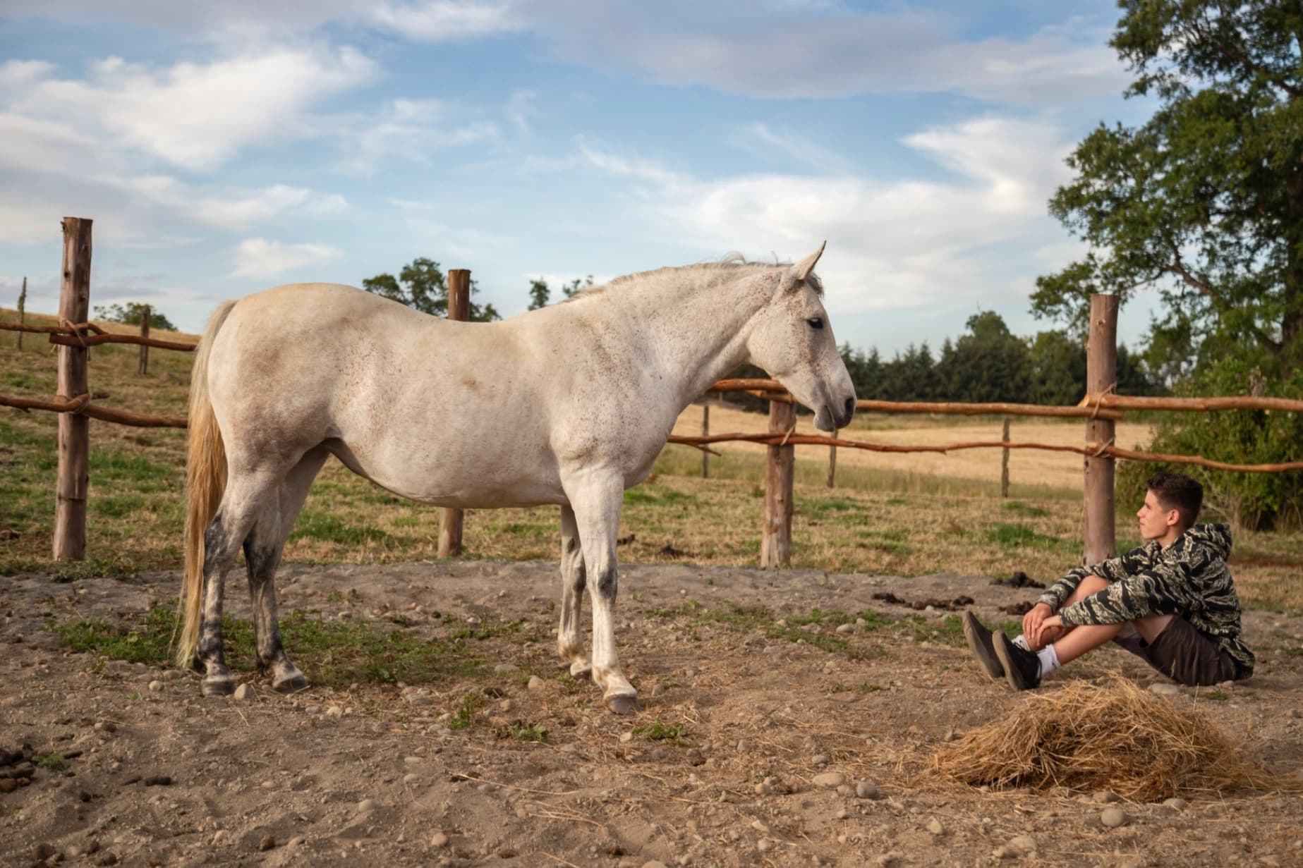 Experiencias con Caballos - imagen 4 de 4
