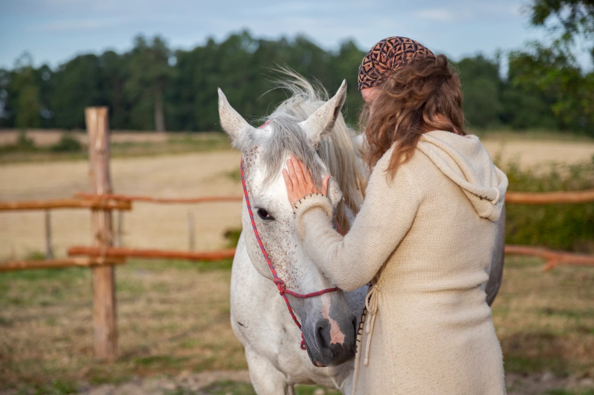 Experiencias con Caballos - imagen 2 de 4