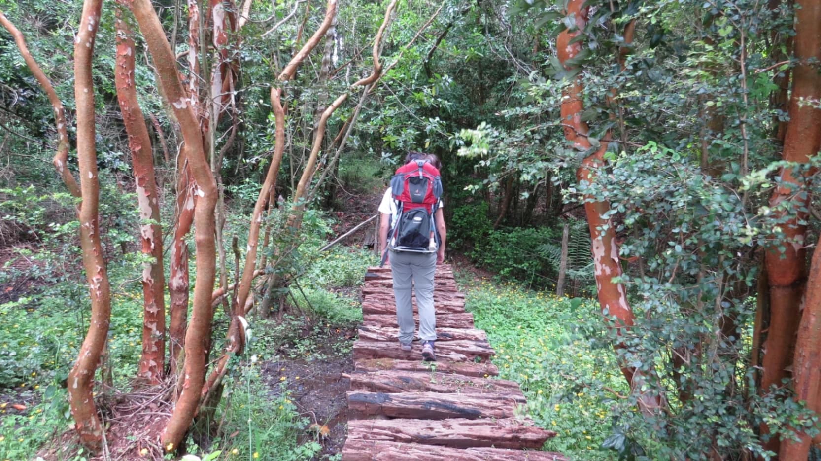 Sendero Despierta Tus Sentidos - imagen 5 de 6