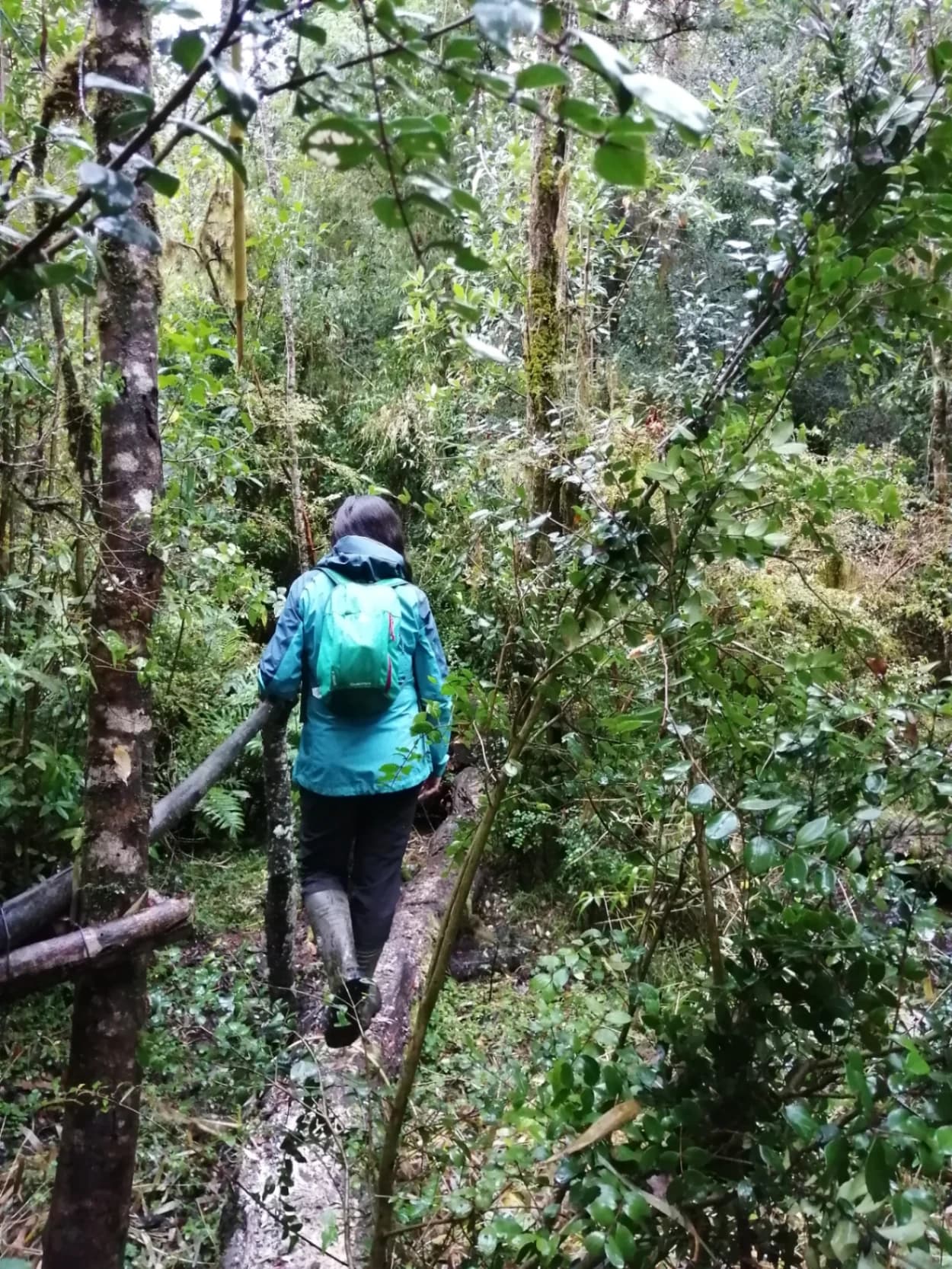 Sendero Despierta Tus Sentidos - imagen 1 de 6