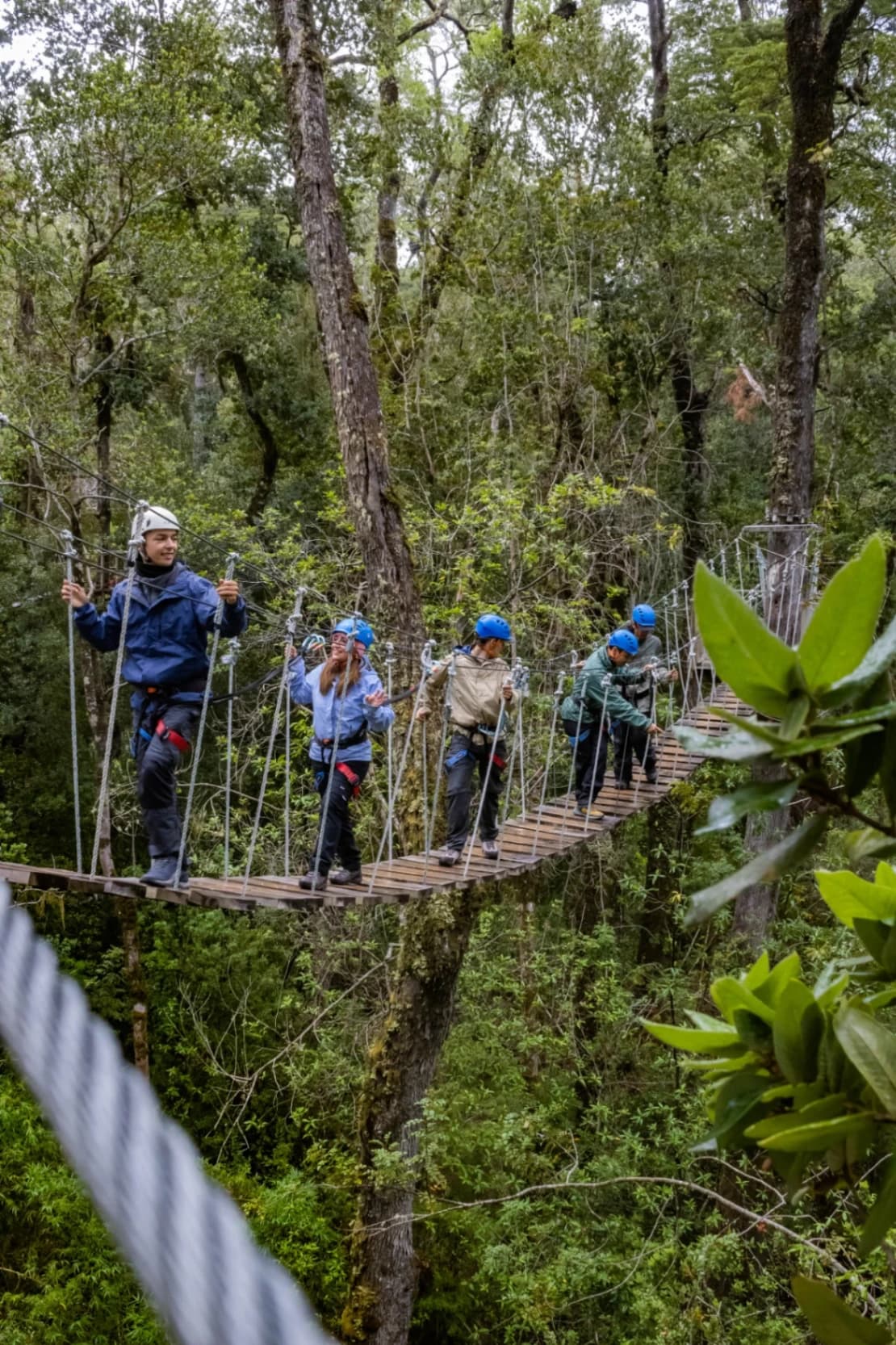 Arborismo, Parque el Salto Aventura, Saltos del Río Petrohué - imagen 1 de 4